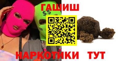 крисы Новодвинск