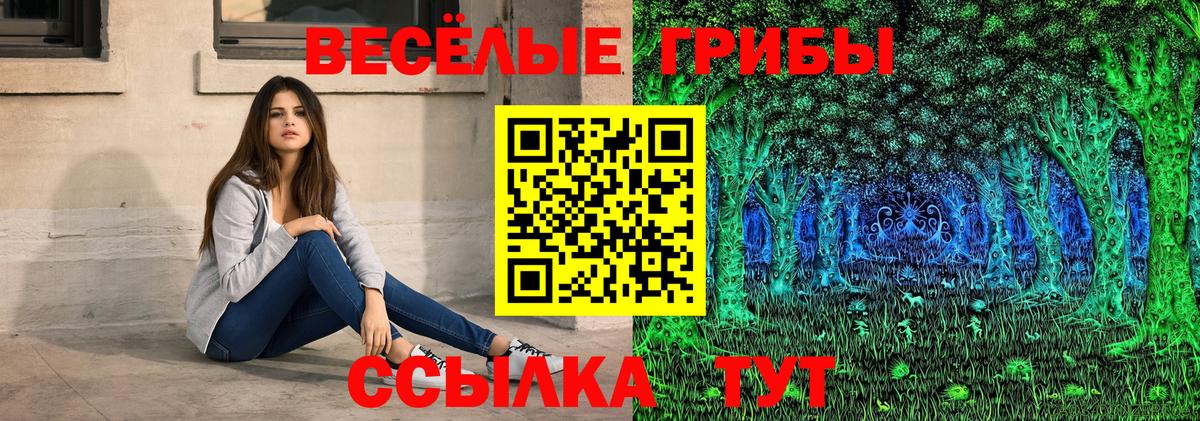 Галлюциногенные грибы GOLDEN TEACHER Светлоград